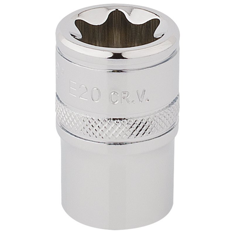 Draper 34345 TX-STARÂ® Socket, 1/2