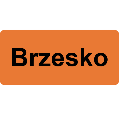 Brzesko