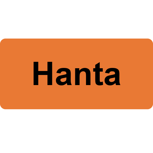 Hanta