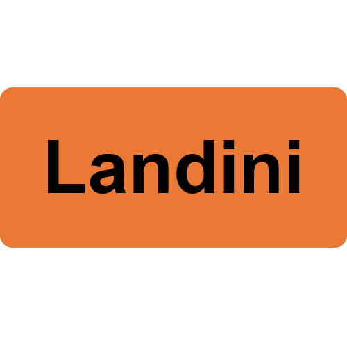 Landini