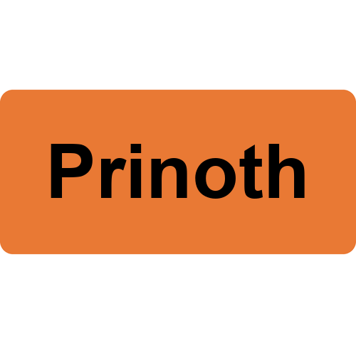 Prinoth