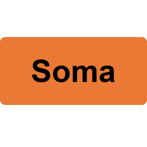 Soma