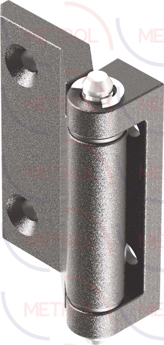 2123-01-316 Stainless Steel 316 Screw-On Hinge 40x60mm