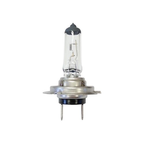 Gauss H7 Bulb 12V 55W - PX26D - ref 64210 (GL144H7)